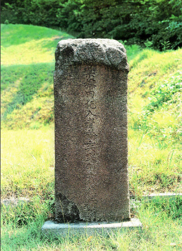 0c29f126050a3d337a464623a2ead719_1787950689_4858.png