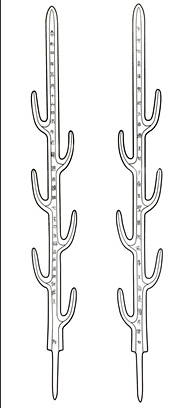 5ef98a399339e6c859bb2e4bf367040d_1787576599_1958.png